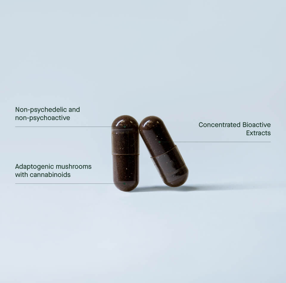 2024.01.31---New-Website_Page-Banner_Capsules-Gummies